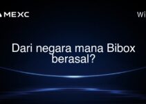 Dari negara mana Bibox berasal?