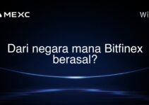 Dari negara mana Bitfinex berasal?