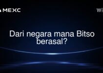 Dari negara mana Bitso berasal?