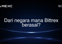 Dari negara mana Bittrex berasal?