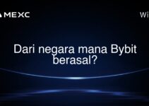 Dari negara mana Bybit berasal?