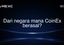 Dari negara mana CoinEx berasal?