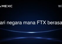 Dari negara mana FTX berasal?