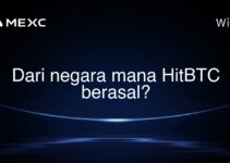 Dari negara mana HitBTC berasal?