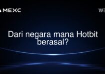 Dari negara mana Hotbit berasal?