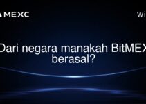 Dari negara manakah BitMEX berasal?