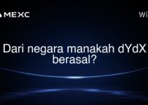 Dari negara manakah dYdX berasal?