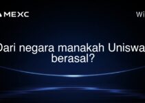 Dari negara manakah Uniswap berasal?