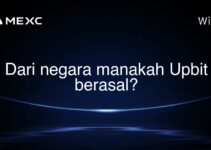 Dari negara manakah Upbit berasal?