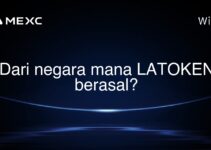 Dari negara mana LATOKEN berasal?