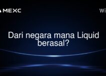 Dari negara mana Liquid berasal?