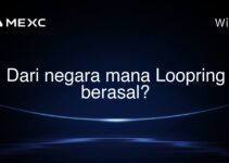 Dari negara mana Loopring berasal?