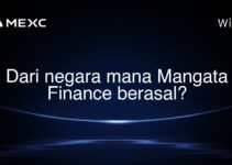 Dari negara mana Mangata Finance berasal?