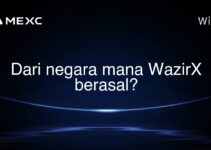 Dari negara mana WazirX berasal?