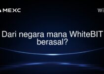 Dari negara mana WhiteBIT berasal?