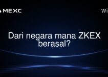 Dari negara mana ZKEX berasal?