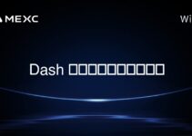 Dash 加密货币发生了什么？