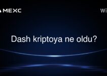 Dash kriptoya ne oldu?