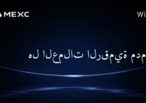 هل العملات الرقمية مدمنة؟