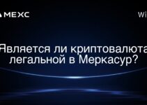 Является ли криптовалюта легальной в Меркасур?