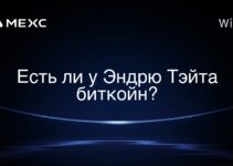 Есть ли у Эндрю Тэйта биткойн?