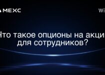 Что такое опционы на акции для сотрудников?