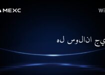 هل سولانا جيدة؟