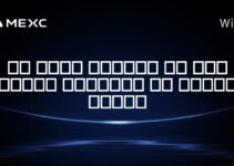 کی باید مالیات بر روی ارزهای دیجیتال را پرداخت کنید؟