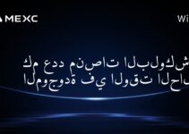 كم عدد منصات البلوكشين الموجودة في الوقت الحالي؟
