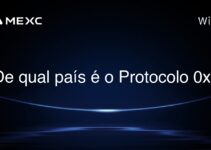 De qual país é o Protocolo 0x?