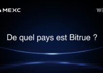 De quel pays est Bitrue ?