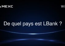 De quel pays est LBank ?
