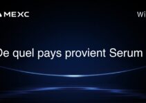 De quel pays provient Serum ?