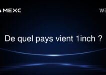 De quel pays vient 1inch ?