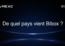 De quel pays vient Bibox ?