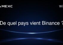 De quel pays vient Binance ?