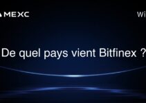 De quel pays vient Bitfinex ?