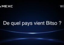 De quel pays vient Bitso ?