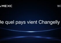 De quel pays vient Changelly ?