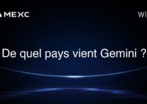 De quel pays vient Gemini ?