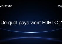 De quel pays vient HitBTC ?