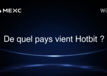 De quel pays vient Hotbit ?