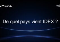 De quel pays vient IDEX ?