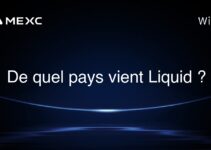 De quel pays vient Liquid ?