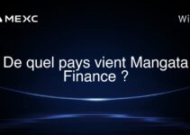 De quel pays vient Mangata Finance ?
