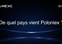 De quel pays vient Poloniex ?
