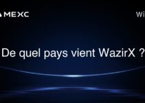 De quel pays vient WazirX ?