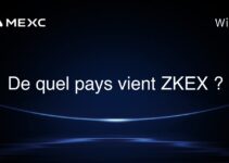 De quel pays vient ZKEX ?