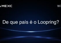 De que país é o Loopring?