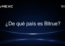 ¿De qué país es Bitrue?
